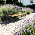 BENCH 37 BEVERLEY